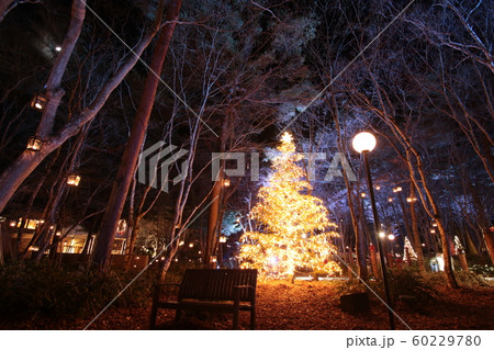軽井沢のクリスマスの灯り 60229780