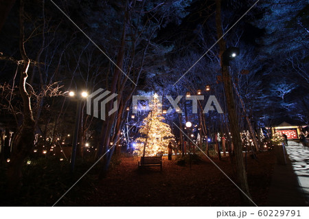 軽井沢のクリスマスの灯り 60229791