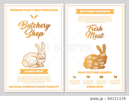 Butchery Shop Poster with Rabbit Meat Cutting Charts in Golden Colors. Butchers Guide Diagram Design 60231176