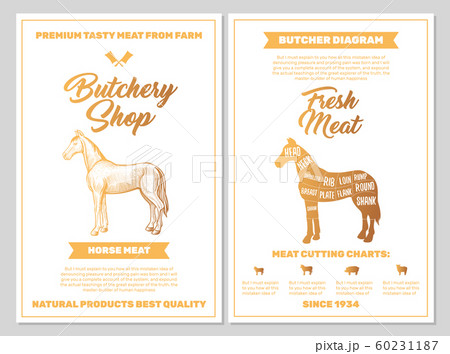 Butchery Shop Poster with Horse Meat Cutting Charts in Golden Colors. Butchers Guide Diagram Design 60231187
