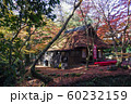 紅に染まる水谷茶屋 60232159