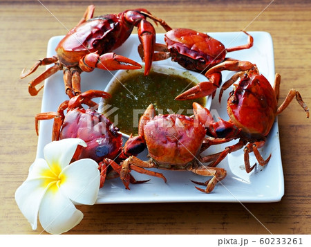Crabs steamed in a dish ready to be served. Crabs steamed in a dish ready to be served. 60233261