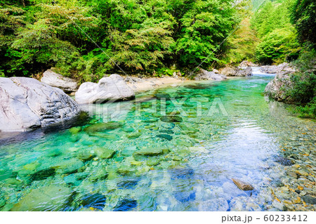 阿寺渓谷 (夏) 阿寺渓谷 (夏) 60233412