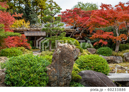 三重県　桑名　諸戸氏庭園の秋の一般公開　紅葉の庭　敷石 60233886