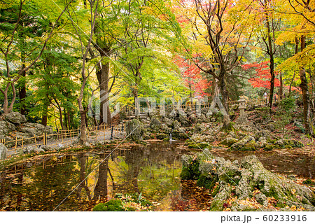 三重県　いなべ　紅葉の名所　聖宝寺の浄土池 60233916