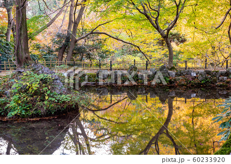 三重県 いなべ 紅葉の名所 聖宝寺の浄土池 三重県 いなべ 紅葉の名所 聖宝寺の浄土池 60233920