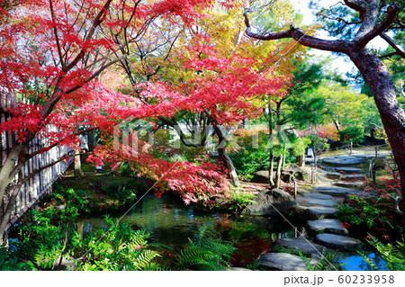 日本庭園 60233958