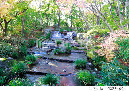 日本庭園 日本庭園 60234004