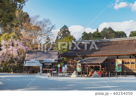 京都 上賀茂神社の境内風景 60234050