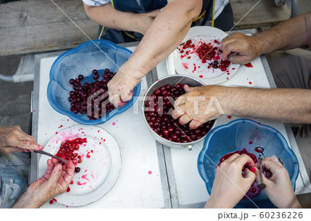Four pairs of hands at the table taking out bones from cherry in to blue bowls 60236226