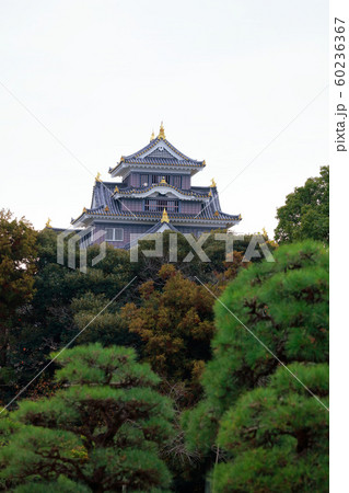 岡山城 60236367