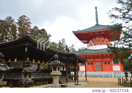 根本大塔(右)・御影堂(左)(高野山 金剛峯寺・壇上伽藍/和歌山県伊都郡高野町高野山) 根本大塔(右)・御影堂(左)(高野山 金剛峯寺・壇上伽藍/和歌山県伊都郡高野町高野山) 60237338