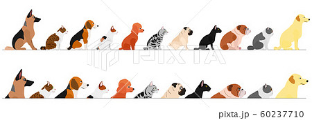 横向きの犬と猫のボーダーセットのイラスト素材 横向きの犬と猫のボーダーセットのイラスト素材