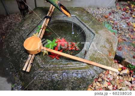 柳谷観音 (楊谷寺 ・京都府長岡京市)~西の清水~ 柳谷観音 (楊谷寺 ・京都府長岡京市)~西の清水~ 60238010