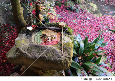 柳谷観音 (楊谷寺 ・京都府長岡京市)～西の清水～  60238024