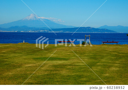 富士山と駿河湾と芝生 富士山と駿河湾と芝生 60238932