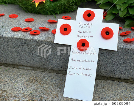 リメンバラスデー 60239094