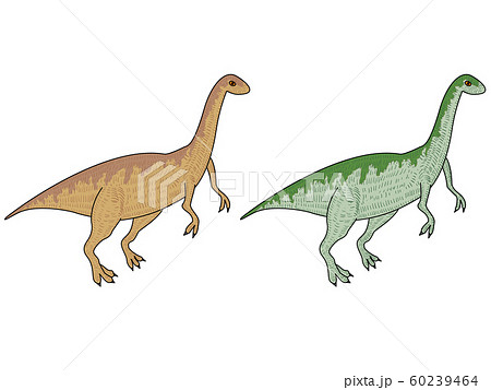恐竜エオラプトル Epsのイラスト素材