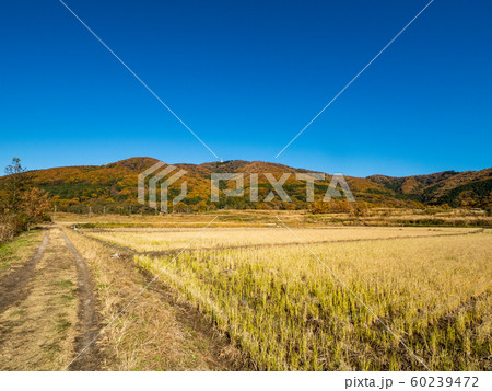 つくば宝篋山の秋 60239472