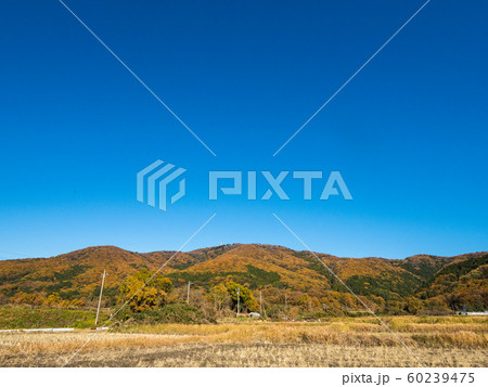 つくば宝篋山の秋 60239475