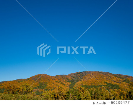 つくば宝篋山の秋 60239477