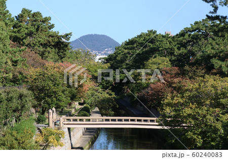 西宮市　葭原橋 60240083