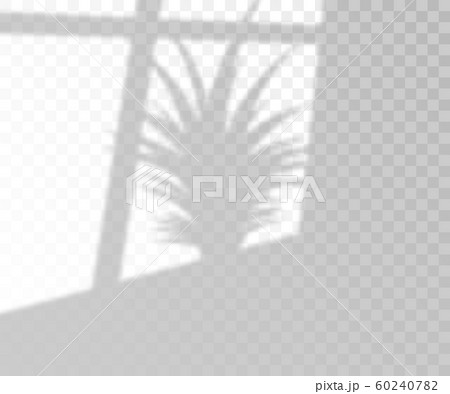 Natural lighting overlay palm shadow, realistic vector illustration isolated. 60240782