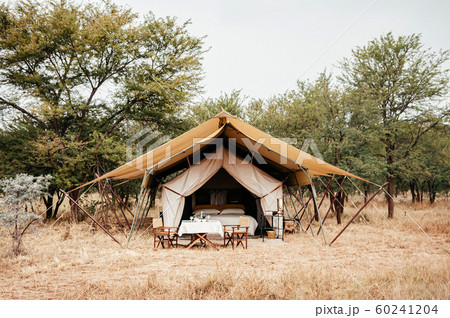 Luxury Safari tent camp in Serengeti Savanna 60241204