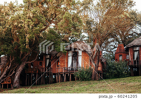 Luxury African primitive cottage villa in 60241205