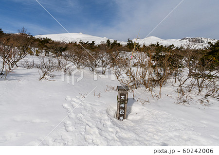 五葉松平から見た安達太良山 五葉松平から見た安達太良山 60242006