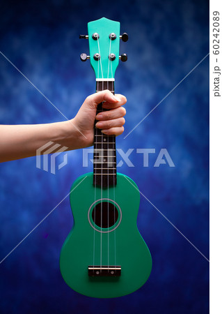 Girl holds hand a small ukulele. 60242089