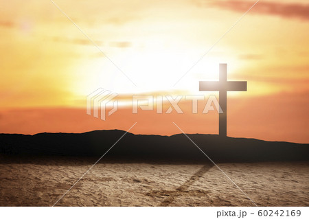 Christian Cross on the field 60242169