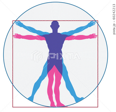 レオナルド ダ ヴィンチの人体図のイラスト 人体のドローイング 素描 ベクターデータのイラスト素材