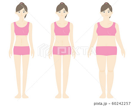 色々な体型の女性のイラスト素材
