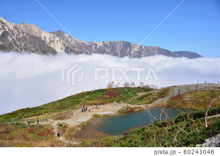 雲海と八方池と白馬三山 雲海と八方池と白馬三山 60243046