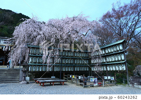 大石神社 大石神社 60243262