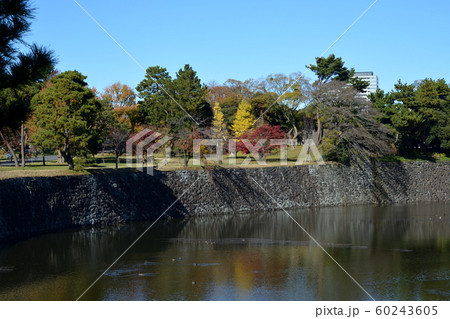 皇居 乾通りの紅葉 皇居 乾通りの紅葉 60243605