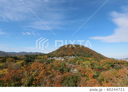 秋の甲山 秋の甲山 60244721