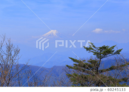 東京の都民の森にある三頭山の山頂から南西側に富士山を見る 東京の都民の森にある三頭山の山頂から南西側に富士山を見る 60245133