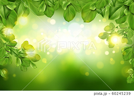 Tree leaves border on green defocused background 60245239