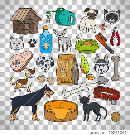 Cats and dogs on transparent background 60245265