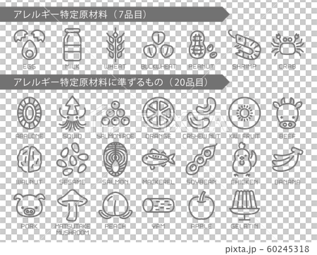 食物アレルギー 特定原材料 アイコンセット 食物アレルギー 特定原材料 アイコンセット 60245318