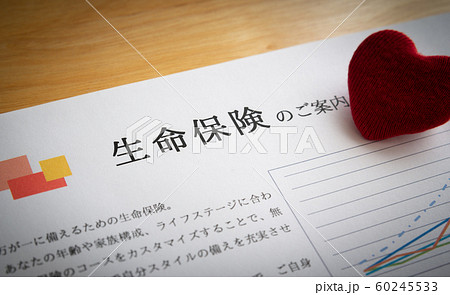 生命保険　案内書　ハート　保険商品 60245533