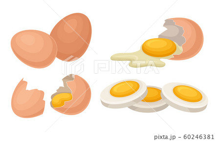 Fresh and Cooked Eggs Set, Broken Eggs with Cracked Shell, Healthy Organic Food Vector Illustration Fresh and Cooked Eggs Set, Broken Eggs with Cracked Shell, Healthy Organic Food Vector Illustration 60246381