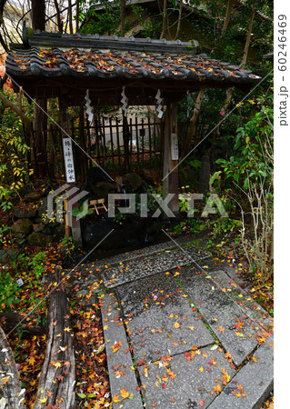 大豊神社より 60246469