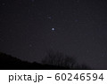 昇るこいぬ座 60246594