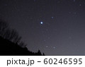 おおいぬ座 60246595