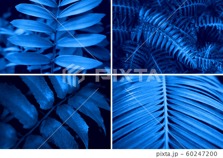 Creative collage tinted in blue color. 60247200