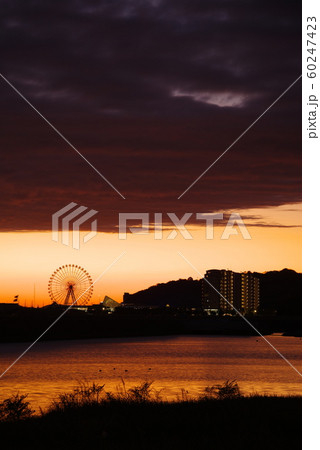 夕焼けと観覧車 夕焼けと観覧車 60247423