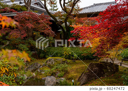 京都の紅葉 京都の紅葉 60247472